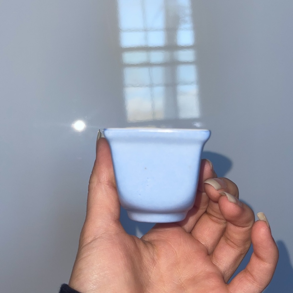 Teacup - Picture 3 of 7